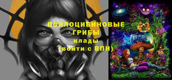 не бодяженный Михайлов