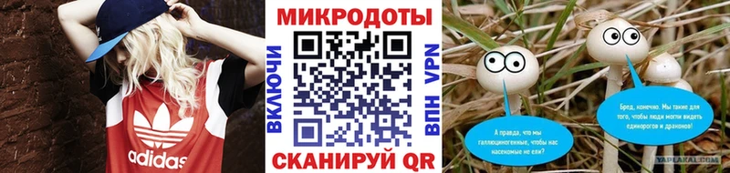 KRAKEN вход  Николаевск  Псилоцибиновые грибы Cubensis  сколько стоит 